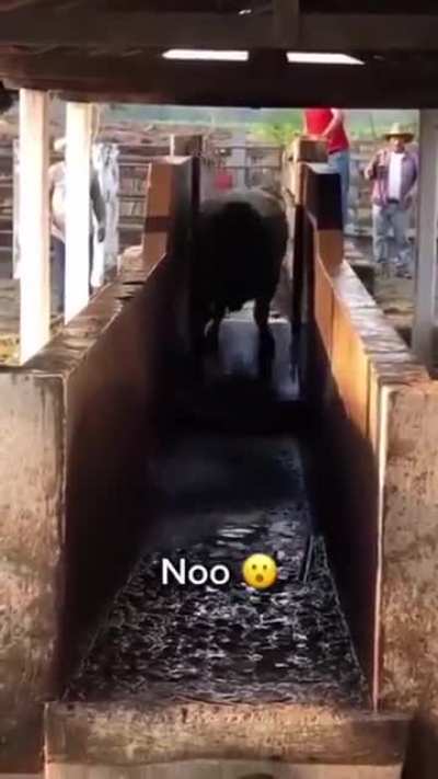 Aaaaahhhhhhh