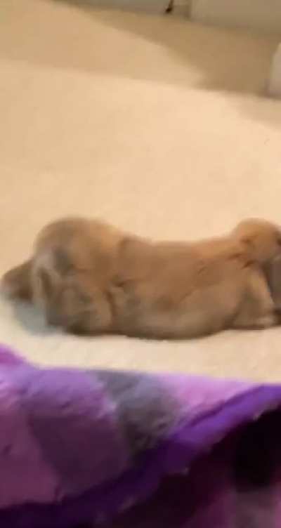 &ldquo;Look at that booty&rdquo; 🍑