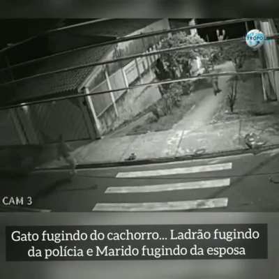 "Cat running from dog, thief running from cops and husband running from wife"
