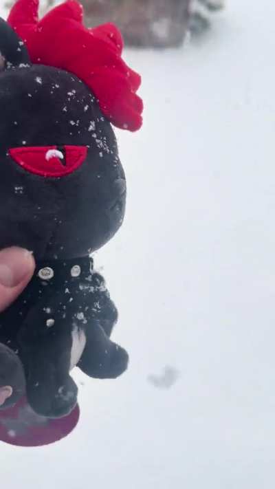 Snow is rare for me. So this was my chance. 