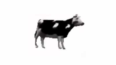 ⠀ ⠀ ⠀