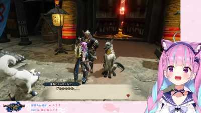 Onion cat barking