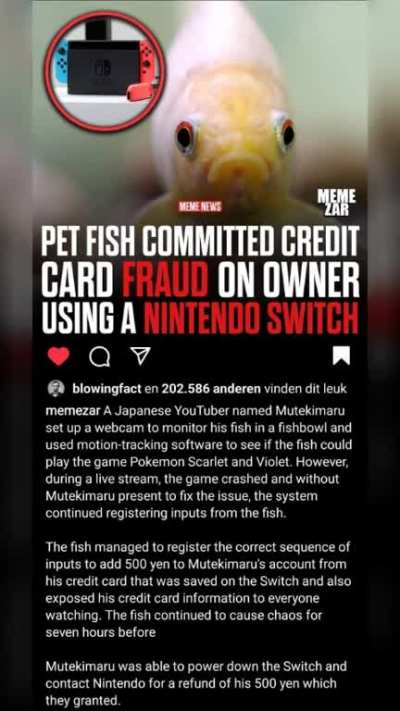The wild Chi-Yu put you in debt, it was super effective