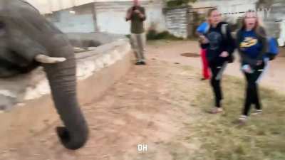 Give me that phone!