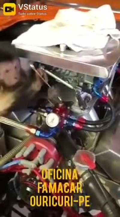 Mecanico a pre&ccedil;o de banana