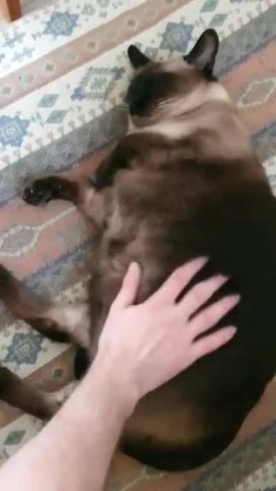 La vie en chonk