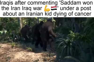 Average Iraqi