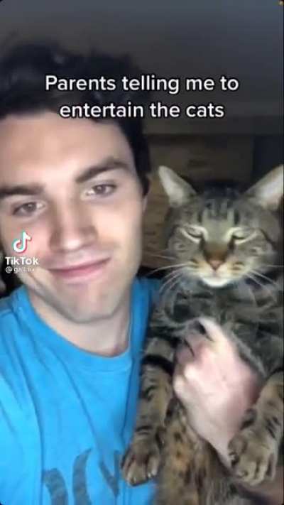 Cat.