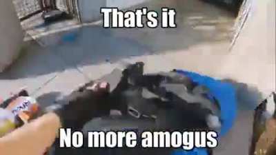 Mission: Save Pyrocynical from Amogus and end it once and for all!