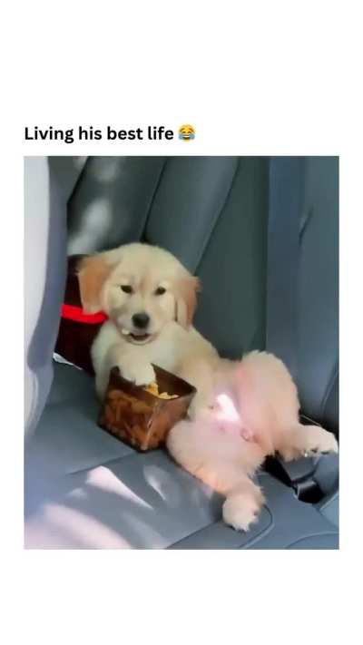 Living his best life 😅