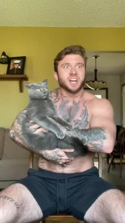 Cat Attack!