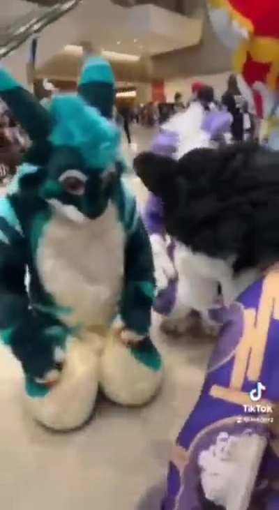 furry_irl