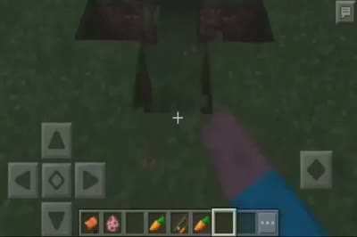 welcim to my minnxcraft lets lpay!!