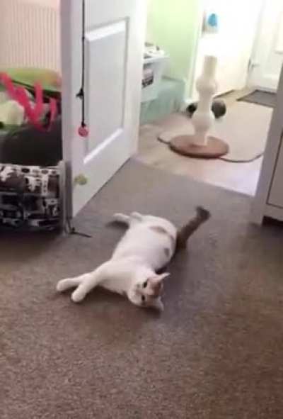 Drama queen