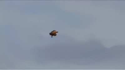 WTF IS IT.... UFO sighting, Oakbay, BC, Canada. (6-29-2008)