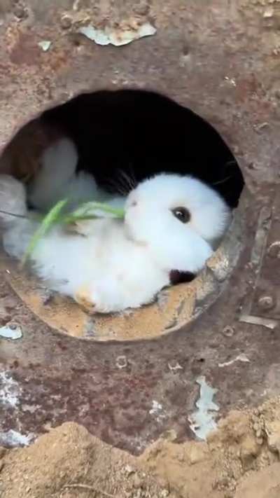 Oh, hi there!