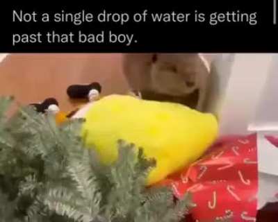 Rule