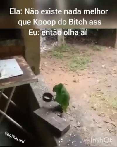 T&iacute;tulo bom