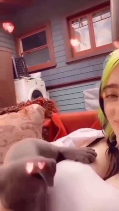 Lucky dog