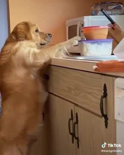 Caught in the act