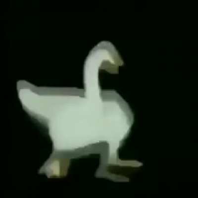 funny duck watch