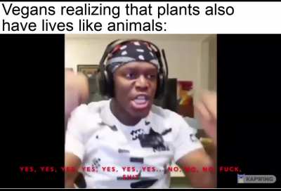 HA, Checkmate