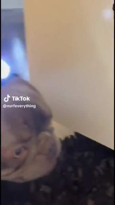 💗💗