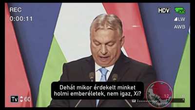 MiHszi Mack&oacute; megl&aacute;togatja Malack&aacute;t