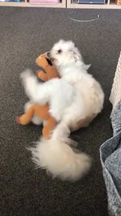 She LOVES Hank