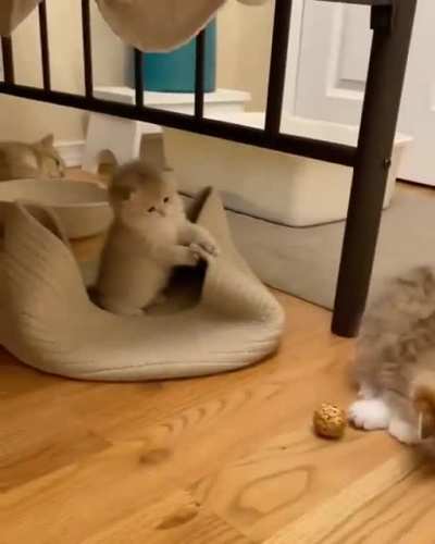 playtime