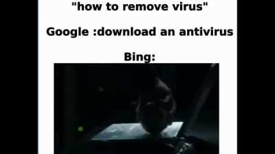 bing is amazing