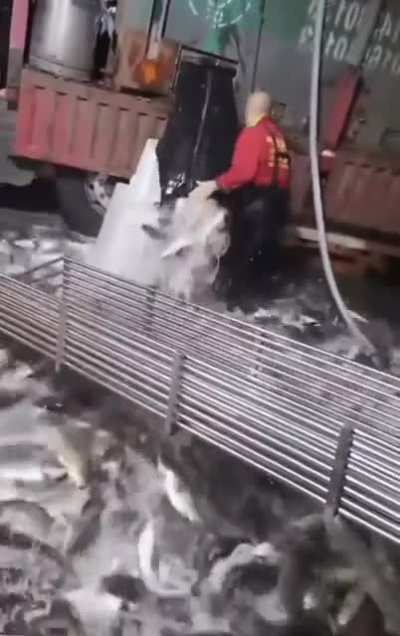 Big fail 🐟😔