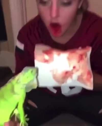 Who is the reptile?