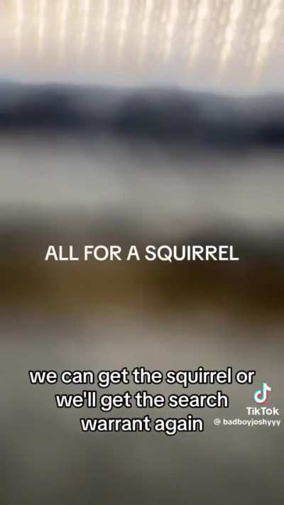 Apparently rescuing a squirrel is HIGHLY illegal in California