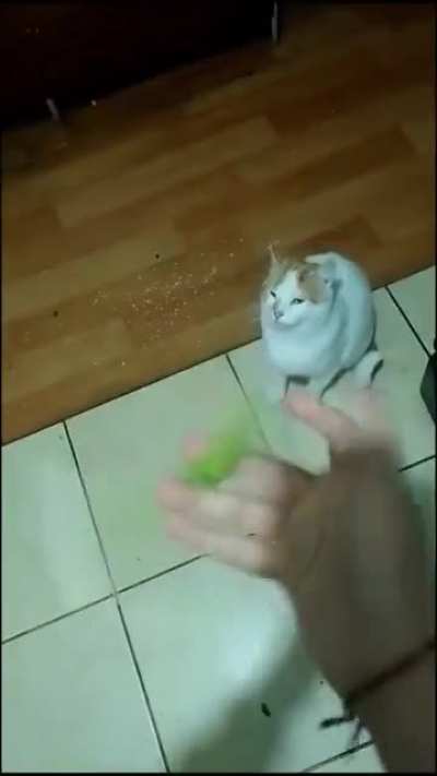 You ever do this and think &ldquo;