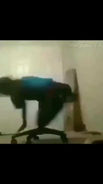 These videos bro..