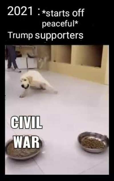 All we want is peace