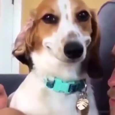 Sorria chat, voc&ecirc; est&aacute; sendo filmado