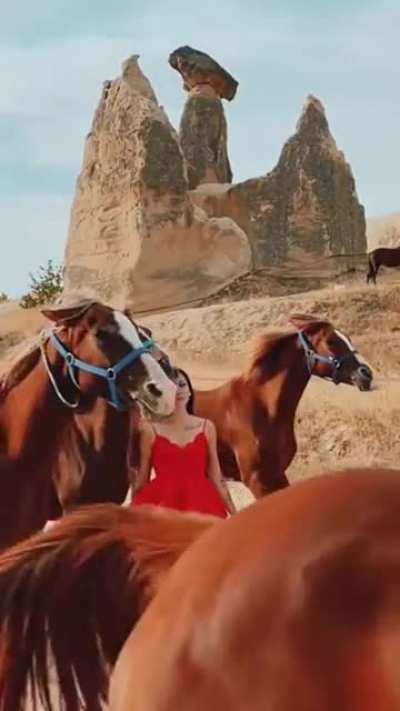 You can&rsquo;t tame these horses