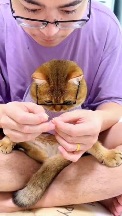 Focusing