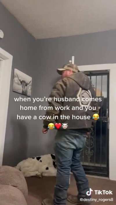Don&rsquo;t have a cow man.