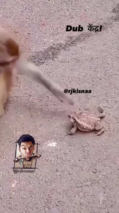 Funny tha ya nahi