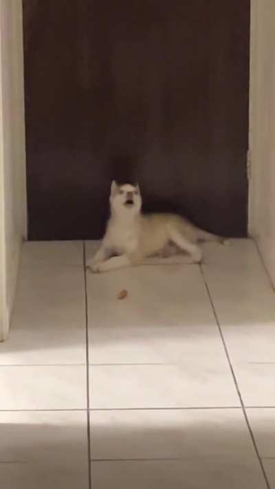 Taco&acirc;s first song of his people: &acirc;Mum Won&acirc;t Let Me Eat Mud at 12am&acirc;