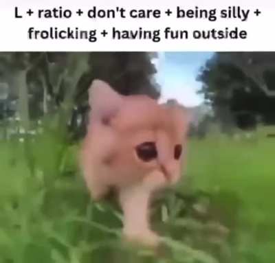 Saturdays are for touching grass 😸
