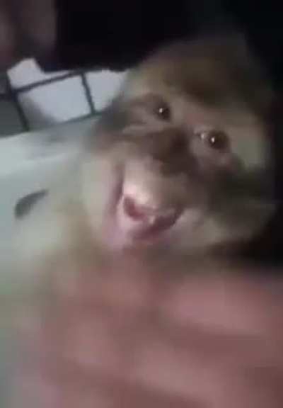 :D