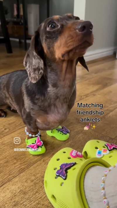 Xixa de crocs, &eacute; papai?