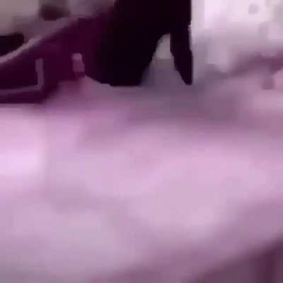 cursed_roach
