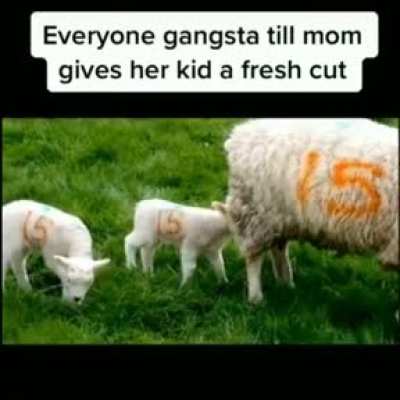I like ya cut g