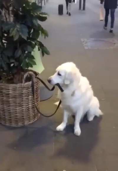 &ldquo;A Good Boy, Keeping An Eye On Himself&rdquo;