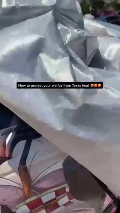 This dude wrapped his car with some overtly sexualized anime characters which he has labeled “his waifus”. Most of his posts are about this car or his collection of figures.